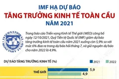 [Infographics] IMF hạ dự báo tăng trưởng kinh tế toàn cầu năm 2021