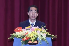 Thứ trưởng Ngoại giao Tô Anh Dũng phát biểu tham luận về xây dựng ngành ngoại giao. (Ảnh: Lâm Khánh/TTXVN)