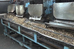 Công ty chế biến hạt điều tại Phú Yên bị xử phạt vì hành vi xả nước thải vượt quy chuẩn cho phép. (Nguồn: laodong.vn)