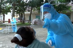 Lấy mẫu xét nghiệp đối với các trường hợp liên quan đến chùm ca bệnh 5 người trong một gia đình. (Ảnh: TTXVN phát)