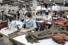 May hàng xuất khẩu sang thị trường Mỹ. (Ảnh: Trần Việt/TTXVN)