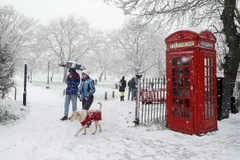 Tuyết rơi trắng xóa tại Anh. (Ảnh: THX/TTXVN)