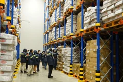 Ảnh minh họa. (Nguồn: Vietnam+)