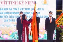 Phó Chủ tịch nước Võ Thị Ánh Xuân gắn Huân chương Lao động hạng Ba lên lá cờ truyền thống của Hội Nạn nhân chất độc da cam/dioxin Việt Nam. (Ảnh: Tuấn Đức/TTXVN)