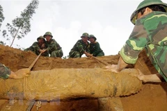 Bằng nguồn lực trong nước cùng sự hỗ trợ của cộng đồng quốc tế, mỗi năm Việt Nam rà phá được từ 40.000-50.000ha ở các khu vực ô nhiễm bom, mìn. (Ảnh: Thế Lập/TTXVN)