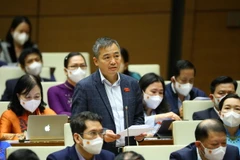 Đại biểu Quốc hội tỉnh Bình Định Nguyễn Lân Hiếu phát biểu. (Ảnh: Văn Điệp/TTXVN)