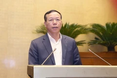 Đại biểu dự hội nghị. (Ảnh: Doãn Tấn/TTXVN)