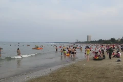 Ảnh minh họa. (Nguồn: TTXVN)