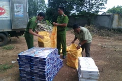 Ảnh minh họa. (Nguồn: TTXVN)