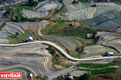 Những thửa ruộng bậc thang ở thung lũng Thiên Sinh vào mùa nước đổ đẹp như bức tranh đa sắc màu. (Ảnh: Nguyễn Thắng)