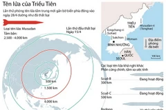 (Nhấp chuột vào ảnh để xem kích thước chuẩn.)