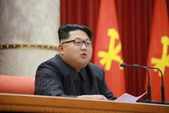 Bà Park Geun-hye gọi chế độ của nhà lãnh đạo Triều Tiên Kim Jong Un là độc tài. (Ảnh: AFP/TTXVN)