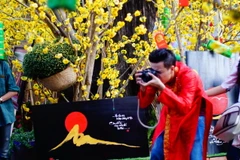 Cứ mỗi dịp giáp Tết Nguyên đán, phố Ông đồ lại trở thành địa điểm thu hút đông đảo người dân thành phố Hồ Chí Minh. (Ảnh: Lưu Đạt/Vietnam+)