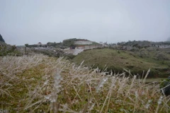 Thời tiết lạnh bất thường, gây băng tuyết tại Sơn La. (Ảnh: TTXVN)