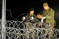 Binh sỹ Hungary dựng hàng rào dây thép gai để ngăn dòng người nhập cư vào nước này. (Ảnh: Reuters/TTXVN)