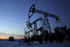 Ảnh minh họa. (Nguồn: Reuters)