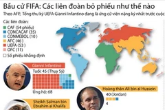 (Nhấp chuột vào ảnh để xem kích thước chuẩn)