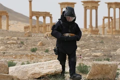 Công binh Nga rà phá bom mìn tại thành cổ Palmyra. (Nguồn: Russia Today)