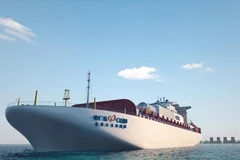 Ảnh minh họa. (Nguồn: shanghaiist.com)