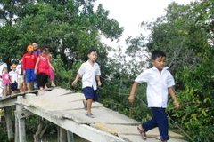 Ảnh chỉ mang tính minh họa. (Nguồn: TTXVN)