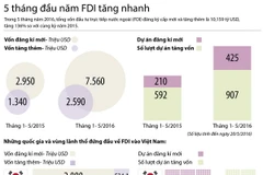 (Nhấp chuột vào ảnh để xem kích thước chuẩn.)