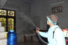 Phun thuốc diệt muỗi phòng chống lây truyền virus Zika và dịch sốt xuất huyết. (Nguồn: TTXVN)