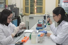 (Ảnh minh họa: TTXVN)