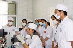 Giờ thực hành của sinh viên ngành y. (Ảnh: TTXVN)
