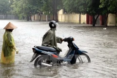 Mưa lũ nhấn chìm các tuyến đường tại thành phố Vinh, Nghệ An. (Ảnh: Tá Chuyên/TTXVN)