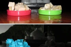 Quảng Ninh: Thông tin giò lụa phát sáng là chính xác