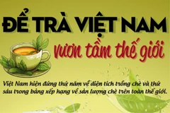 Gỡ nút thắt "giá rẻ," đưa trà Việt Nam vươn tầm thế giới