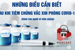 (Nguồn: Vietnam+)