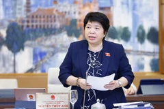 Chủ nhiệm Ủy ban Xã hội của Quốc hội Nguyễn Thúy Anh trình bày báo cáo thẩm tra. (Ảnh: Doãn Tấn/TTXVN)