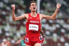 (Nguồn: bergaag.com)