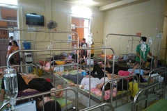 (Ảnh minh họa: Việt Dũng/TTXVN)