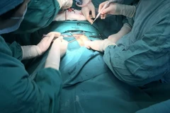 (Ảnh minh họa: Lê Xuân/TTXVN)