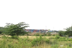 (Ảnh minh họa: Trần Xuân Tình/TTXVN)