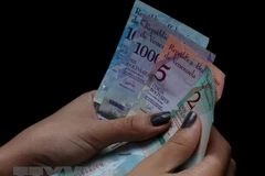 Kiểm tiền bolivar của Venezuela tại Caracas ngày 20/8. (Ảnh: THX/TTXVN)