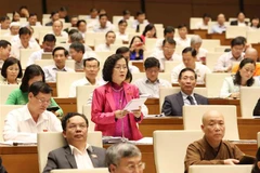 Đại biểu Quốc hội thành phố Hà Nội Trần Thị Quốc Khánh phát biểu. (Ảnh: Phương Hoa/TTXVN)