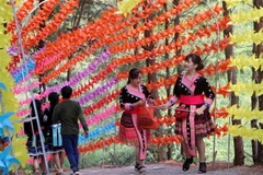 Đường lên khu du lịch đồi thông được trang trí bởi hàng nghìn chiếc chong chóng với đủ màu sắc. (Ảnh: Công Tuyên/TTXVN)