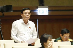 Đại biểu Quốc hội tỉnh Phú Yên Nguyễn Hồng Vân phát biểu ý kiến. (Ảnh: Doãn Tấn/TTXVN)