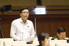 Đại biểu Quốc hội tỉnh Phú Yên Nguyễn Hồng Vân phát biểu ý kiến. (Ảnh: Doãn Tấn/TTXVN)