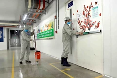 (Ảnh minh họa: Hoàng Hùng/TTXVN)