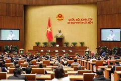 Lễ khai mạc kỳ họp thứ 11 Quốc hội khoá XIV. (Ảnh: TTXVN)