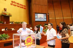 Các đại biểu Quốc hội bỏ phiếu bổ nhiệm một số thành viên của Chính phủ. (Ảnh: Trọng Đức/TTXVN)