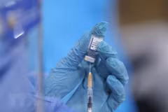 Vaccine Pfizer. (Ảnh: Minh Quyết/TTXVN)