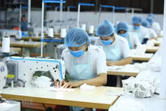 (Ảnh minh họa: Anh Tuấn/TTXVN)