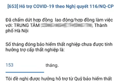 Lao động nộp hồ sơ trực tuyến theo 2 cách: qua ứng dụng VssID-Bảo hiểm xã hội số hoặc trên Cổng Dịch vụ công của Bảo hiểm xã hội Việt Nam. (Ảnh: PV/Vietnam+)