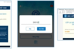 Bảo hiểm xã hội bổ sung chức năng cấp lại mật khẩu miễn phí qua email. (Ảnh: PV/Vietnam+)