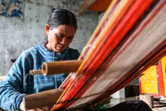 Chương trình nhận hồ sơ đăng ký cho tất cả các loại hình nghệ thuật, ưu tiên các đề xuất có liên quan tới ứng phó với biến đổi khí hậu cũng như tính đa dạng và hòa nhập. (Ảnh: Hội đồng Anh)